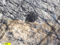 Felslochstellung Nord Fracstein auf der anderen Chlusseite, um den Werkeingang von A6309 zu schützen