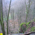 Gempenplateau: Batterie Eremitage-Hintere Hagenbuche (Munitionslager, überdeckte Stellungen, Höhlen)