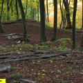 Gempenplateau. Batterie Ermitage. Arlesheim BL/Hintere Hagebuche. Haubitzen-Stellung West, 614'630/259'770