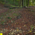 Gempenplateau. Batterie Ermitage. Arlesheim BL/Hintere Hagebuche. Haubitzen-Stellung West, 614'630/259'770